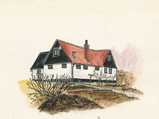 Humlamaden, vårvinter